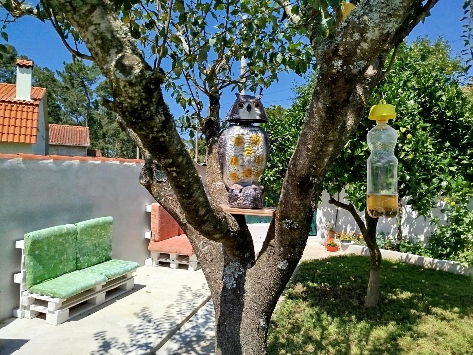 A Telleira Villa Rosal Exterior photo